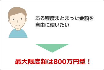ある程度まとまった金額を自由に使いたい 最大限度額は800万円型!