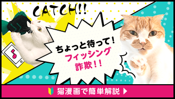 ちょっと待って！フィッシング詐欺！！ 猫漫画で簡単解説