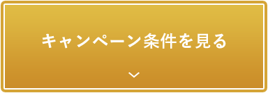 キャンペーン条件を見る