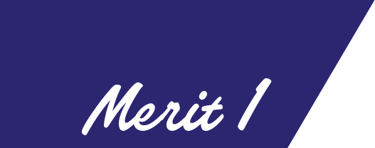 Merit1