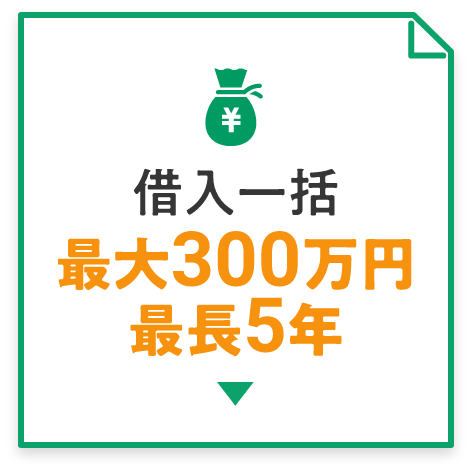 借入一括 最大300万円最長5年