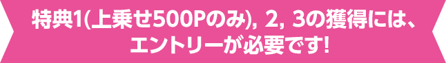 特典1(上乗せ500Pのみ), 2, 3の獲得には、エントリーが必要です!