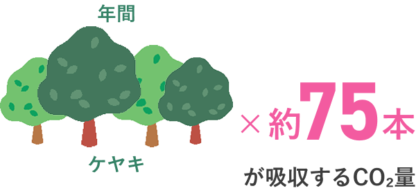 年間ケヤキ約75本が吸収するCO2量