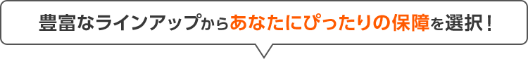 豊富なラインアップからあなたにぴったりの保障を選択！