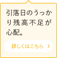 引落日のうっかり残高不足が心配。