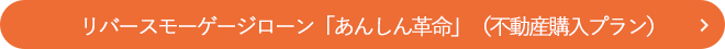 リバースモーゲージローン「あんしん革命」（不動産購入プラン）