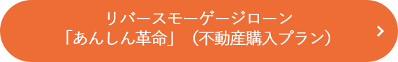 リバースモーゲージローン「あんしん革命」（不動産購入プラン）