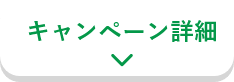 キャンペーン概要