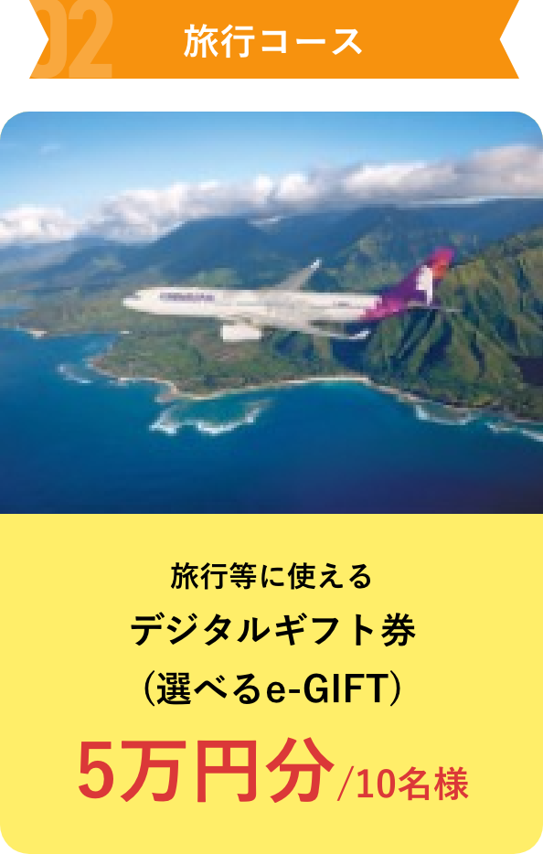 旅行コース 旅行等に使えるデジタルギフト券(選べるe-GIFT) 5万円分/10名様