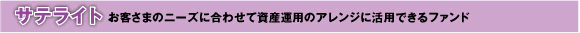 サテライト