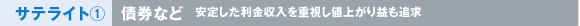 サテライト1