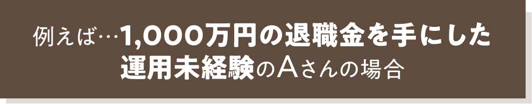 例えば…1,000万円の退職金を手にした運用未経験のAさんの場合