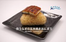平沼水産株式会社 上里そだちの「侍うなぎ」玄米焼きおにぎりイメージ