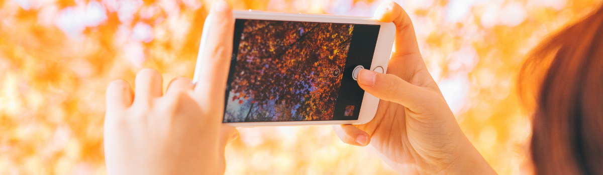 スマホのカメラで映える写真を!基本のスマホ撮影テクを紹介
