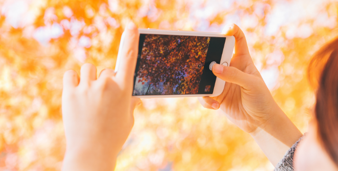 スマホのカメラで映える写真を!基本のスマホ撮影テクを紹介