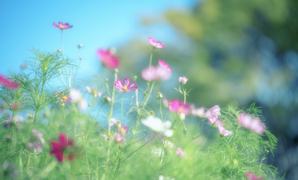 ズームモードの圧縮効果で印象的な風景写真に