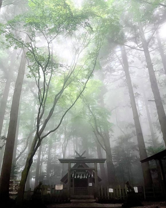 霧林の神秘で賞