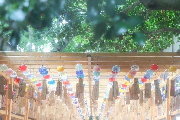 夏の涼風を感じるで賞