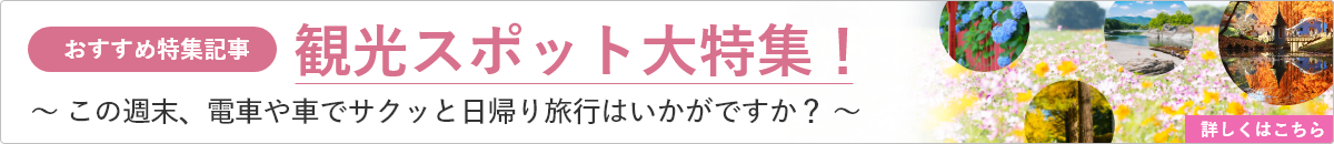 観光スポット大特集！