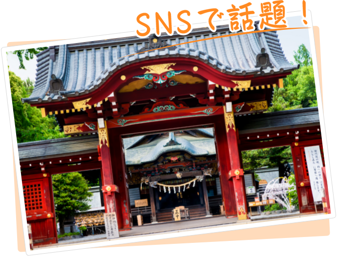 SNSで話題！