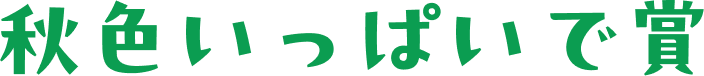 秋色いっぱいで賞