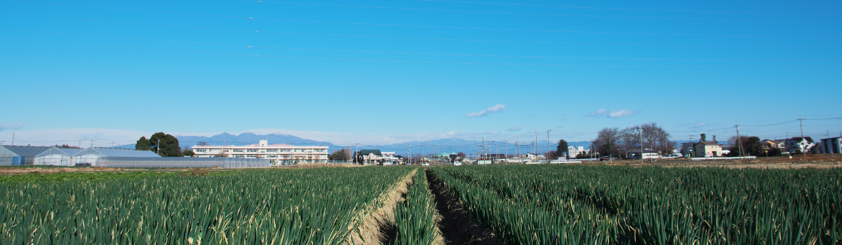 埼玉には名産品がいっぱい！野菜・果物・牛肉・日本酒・お菓子などおすすめをご紹介