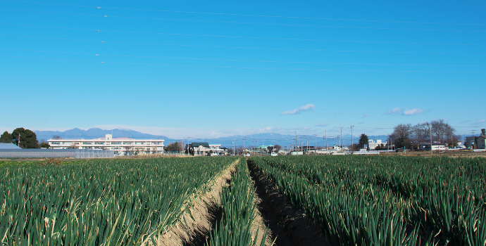 埼玉には名産品がいっぱい！野菜・果物・牛肉・日本酒・お菓子などおすすめをご紹介