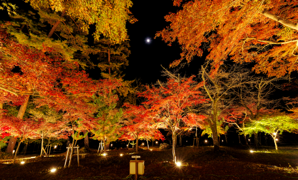 月の石 もみじ公園