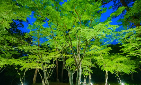 月の石 もみじ公園