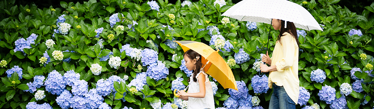 雨の日でも楽しめる埼玉の屋内おすすめスポット4選