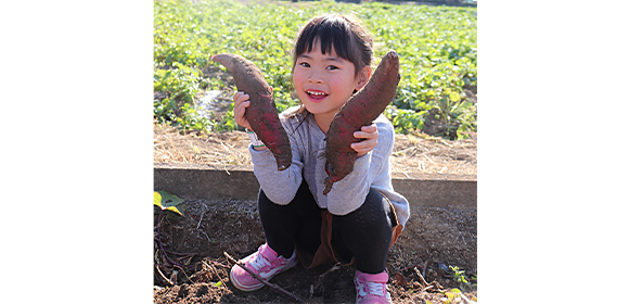 畑でしゃがむ子どもが、掘り出したさつまいもを両手に持っている。