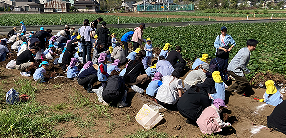 畑で多くの子どもと大人が土を掘っている様子