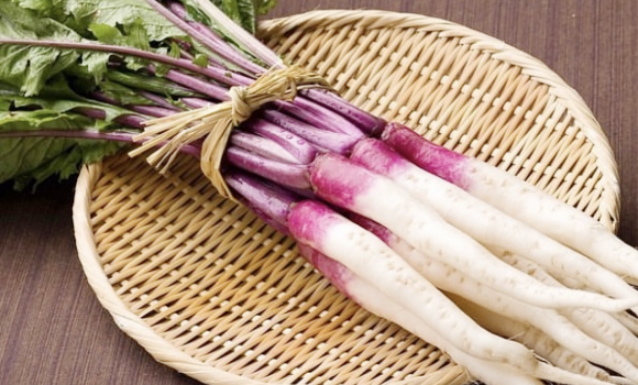 滋賀県日野町の伝統野菜「近江日野産日野菜