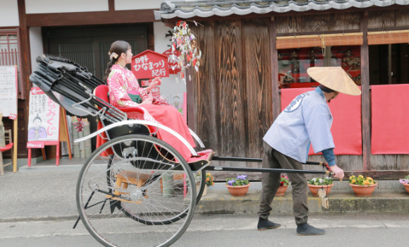 滋賀県日野町の伝統野菜「近江日野産日野菜