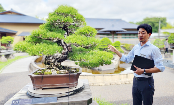 学芸員の田口文哉さん。推定樹齢100年の黒松「獅子の舞」の前にて