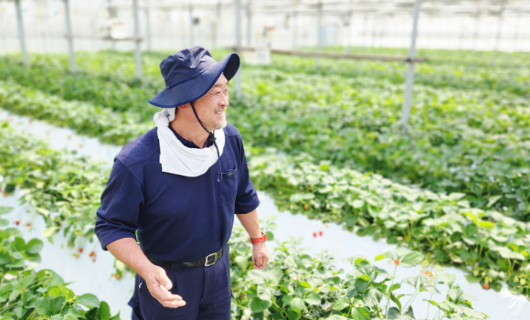 「かおりん」「あまりん」を栽培している、秩父市「ただかね農園」